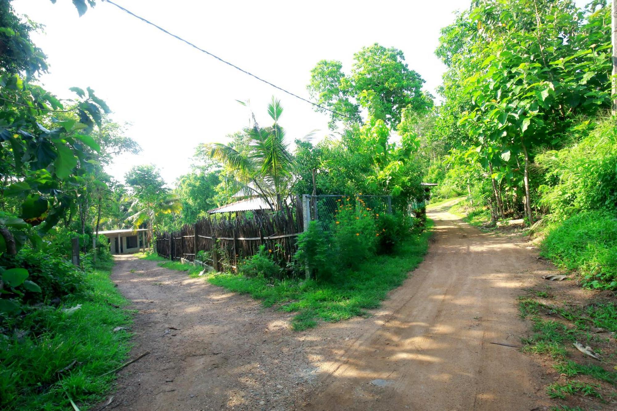 Hiriketiya Don Simon Villa ディックウェラ エクステリア 写真